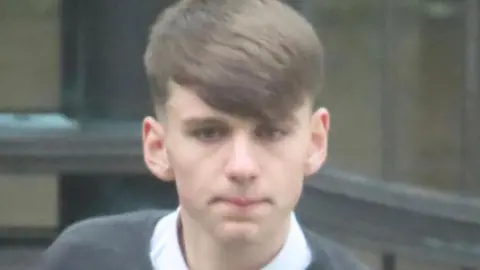 A young man with brown hair that is styled into a fringe, wearing a shirt and grey jumper.