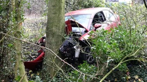Red car crashed into tree