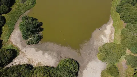 Anadolu via Getty Images A large pond with its water level receding, exposing a sandy beach. The pond is otherwise surrounded by green bushes.