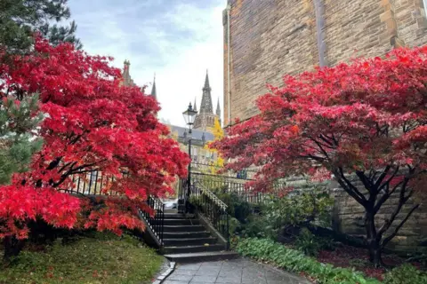 Takako Ishibashi Autumn colours in Glasgow 