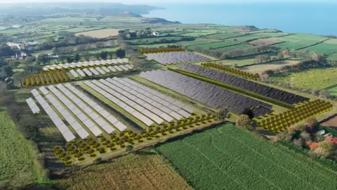 A drone shot of a solar panel farm near a coast