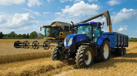 Getty Images A yellow combine harvester cuts a grain crop and via a long funnel is filling a blue trailer, pulled by a large blue tractor, with grain. The sky is blue and filled with fluffy white clouds.  