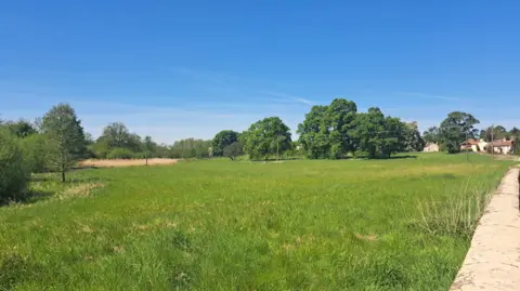Upper Ouse Conservation Trust A green field with a number of large trees, under a blue sky. A wall runs along the side of the field and houses can be seen in the distance.