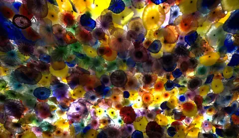 Sven-Olof Jansson Multi-coloured glass flowers photographed from underneath. It looks like a sea of flowers in mostly yellow and purple with the sun peaking out from behind them.