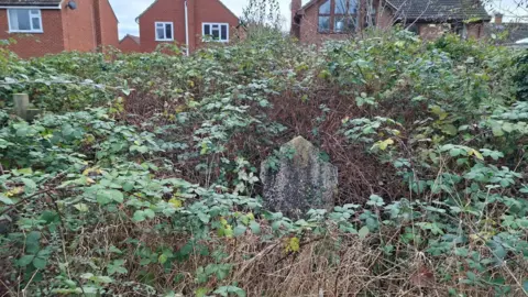 Henry Godfrey-Evans/BBC Una masa de zarzas altas con una lápida muy antigua en el medio, se ven casas detrás.