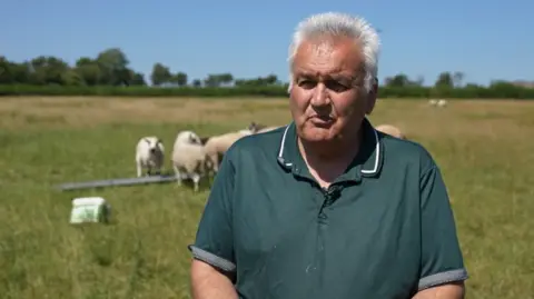 A man with a green t-shirt stood in a field. He has grey hair and there are sheep behind him.