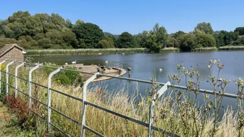 A reservoir on a sunny day. Ducks and swans swim and rushes are visible in the background. A large concrete structure draining out water is visible to the left of the image. A fence runs across the foreground. 