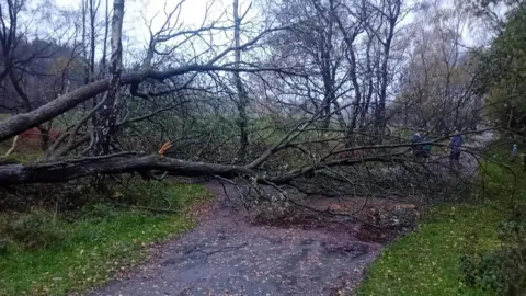 Cannock Chase Parkrun Two large trees that have fallen and are blocking a footpath.