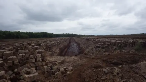 A wide shot of peat extraction taking place over a wide section of landscape on a cloudy day. A long narrow channel has been cut through the bog and peat briquettes are piled up along the sides. There is a forest in the distance. 