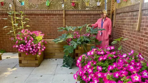 A woman in a pink dress and blue lanyard is watering some bright pink flowers. The flowers are in wooden beds in a patioed garden with a high brick wall. There is trellis across the top of the wall with plants on small hanging colourful buckets.