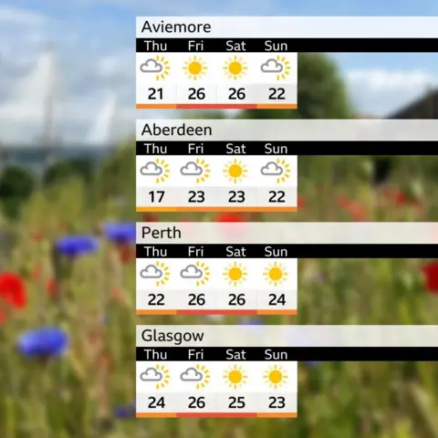 BBC Weather A temperature chart for Aviemore, Aberdeen, Perth and Glasgow, showing temperatures reaching the mid twenties on Friday and Saturday. The chart is overlaid on a picture of the Queensferry Crossing, with a field of wildflowers in the foreground.
