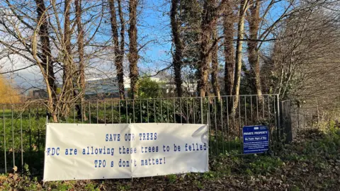 John Devine/BBC White banner about 2m (6ft) long and 1m (3ft) wide with blue printed writing saying, 'SAVE OUR TREES-FDC (Fenland District Council) are allowing these trees to be felled-TPO's (tree protection orders) don't matter.
There are some trees behind the sign and part of the Neale-Wade Academy can be seen too.