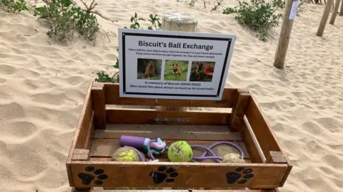 BBC A wooden crate with dog paws on it has sand covered balls and chewed toys in it