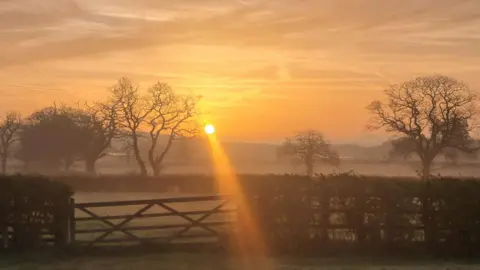 BBC Weather Watchers/Cath Mist rolls over a field bordered by trees, a fence and a hedge. A sun rises over the scene.
