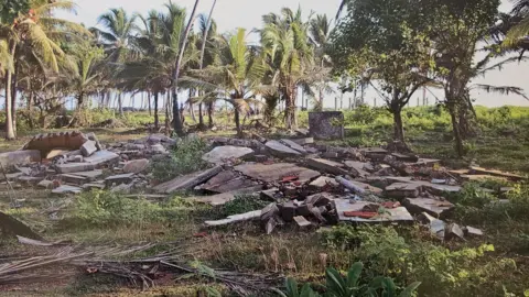 The Linch family A pile of rubble and planks lie in a clearing bordered by green palm and tropical trees. 