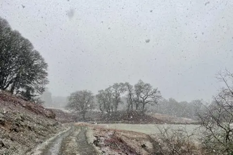 TorFinn/BBC Weather Watchers Big flakes of snow fall over a landscape of fields and trees.