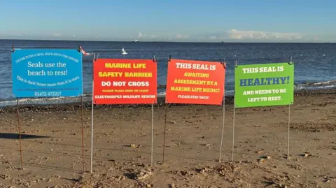 Four colourful signs place in the sand on a beach. The sea and sky is blue in the background. The sign on the left is blue and reads "Seals use the best to rest". The sign to the right of that is red with white and yellow writing and reads "Marine life safety barrier do not cross". The next sign in the row is red with white and yellow writing reading "The deal is awaiting assessment by a marine life medic! Please stay back. The last sign is green with white and blue writing reading "This seal is healthy! and needs to be left to rest".