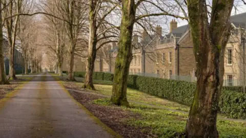 Preconstruct Three-storey homes with chimneys run along a tree-lined road, in an artist's impression of the proposed housing estate.