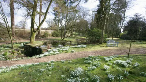 Rode Hall A grassy area with a footpath, trees and small white flowers