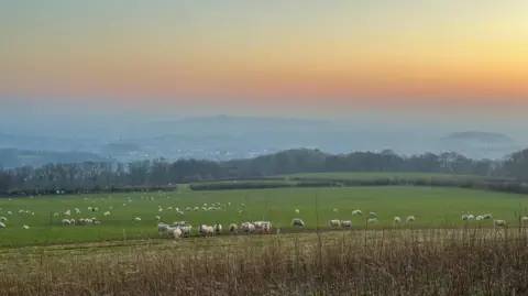 Weather Watcher/Nutkin View over Wells from the top of a hill. There's sheep grazing on the green grass on the hill. THe sun is coming up behind them.