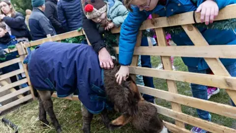 Toby Shepheard Two people in coats and hats stroking a donkey in a pen, while a baby looks on. 