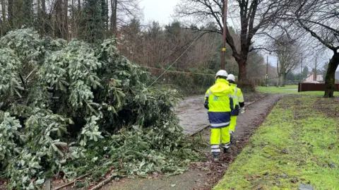 PA Media NIE workers cutting a tree that has fallen from Storm damage. There are multiple workers in yellow and orange high-vis coats that say NIE on the back.  All of the workers are wearing hardhats. 