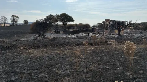 An area of grassland that has been left totally scorched by fire. The land is now black including some of the remaining trees.