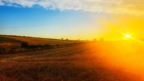 Susan Ward The sunsets casting an orange glow over the Dorset fields. The sun is a large orange circle. The fields are golden and have recently been cut. You can see green hedges and trees.