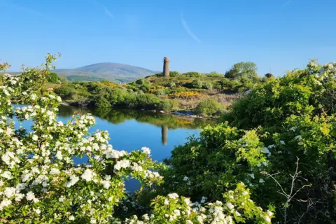 BBC Weather Watchers / millomite A sunny landscape photo. There are lush green trees and white flowers in bloom in the foreground. Further afield, a stone tower on a hill is reflected in the water below it. There is a grassy mountain in the background. The sky is blue.