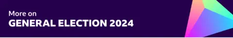 A graphic which reads 'more on general election 2024'