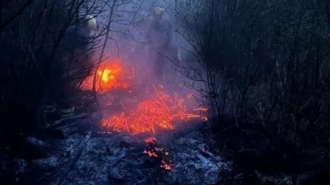 A fire in a park, showing flames coming from the ground, charred remains, burnt trees and bushes. There are two firefighters working, but you can hardly make them out. 