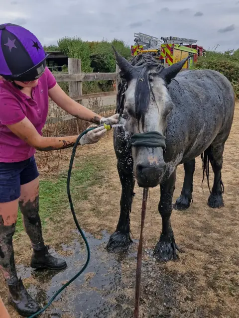Carly Wilford A cob horse covered in mud being hosed down by a women wearing a purple tshirt with shorts and a black and purple helmet. 