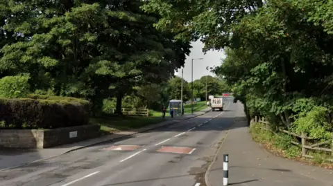 Google streetview image of Drakehouse Lane. It has fencing holding back hedgerow/trees from the path on both sides of the road. The photo was taken on a sunny day.