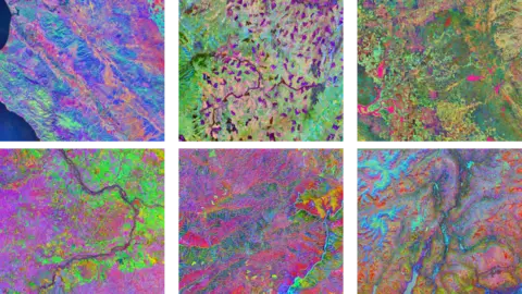 University of Cambridge A grid of six images of different locations captured with Tessera's satellite imagery show. Each image is a colourful mix of bright pink, green and blue - with the colours reflecting differences in land type and height.