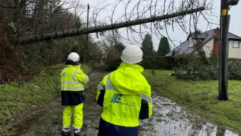 Electricians look at a tree that has hit a power line.