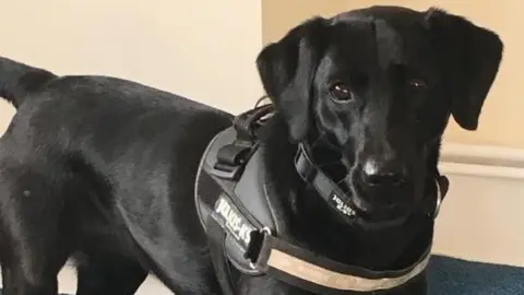 Derbyshire Police PD Sybil