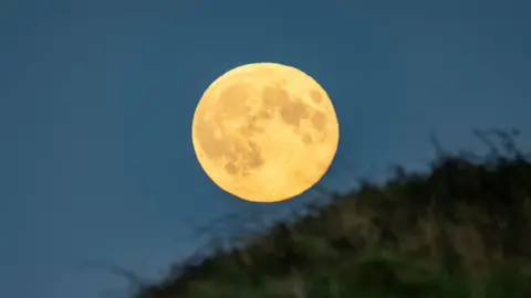 Morseyboy/Weatherwatchers The supermoon is orange and there is a green grassy bank in the foreground. 