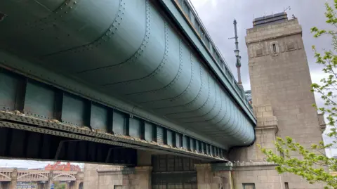 View of Tyne Bridge ledge with Kittiwakes occupying in nests