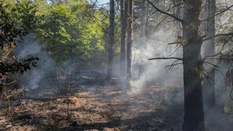 Northamptonshire Fire and Rescue Service Smoke in the air in a woodland, with large trees and a dry, brown ground.