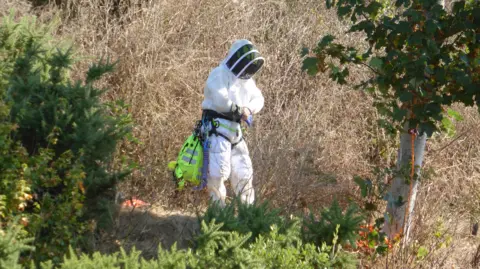 BBC A person wearing a protective suit and face shield stands in dry vegetation beside trees and shrubs, carrying safety equipment in a rural outdoor area.