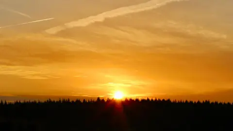 SATURDAY - A sunset over the New Forest, the sun glows orange with bursts of light. It is on the horizon in a glowing orange sky. The horizon is made up of silhouetted pine trees and there are chem trails in the sky.