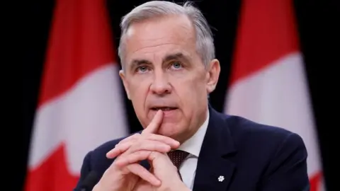 Mark Carney poses in a navy suit in front of the Canadian flag