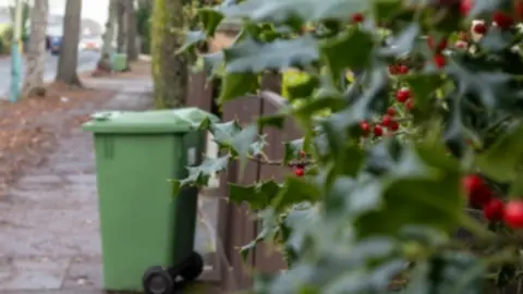 Cheltenham Borough Council A tree-lined street with a green wheelie bin standing by a fence with leaves and berries from a holly tree in the foreground.