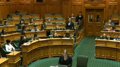 This frame grab taken from a New Zealand Parliament TV feed shows Maori lawmaker Hana-Rawhiti Maipi-Clarke standing up during a first reading of the Principles of the Treaty of Waitangi Bill
