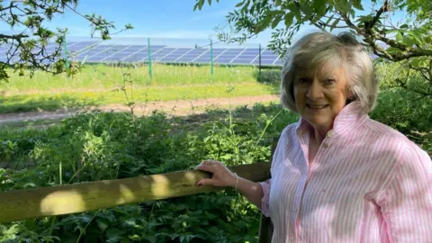 A woman at her fence with the land behind her garden filled with panels