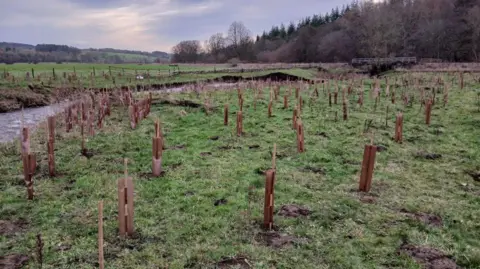 Wear Rivers Trust A river bends through a pastural landscape with a wooded hill rising steeply in the distance. In the foreground there are a number of newly planted trees with tree guards on them.
