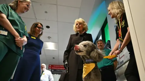 PA Media The Queen in a dark black winter coat inside a hospital ward surrounded by several members of staff with a grey dog, with a white muzzle and yellow neckerchief in the foreground