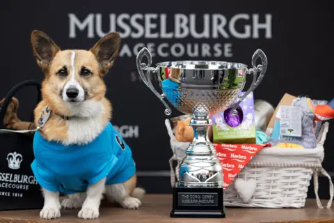 Reuters A corgi sitting beside a silver trophy - which is about the same height as the dog. Behind the trophy is a basket of dog treats. The backdrop is black and reads "Musselburgh racecourse".
