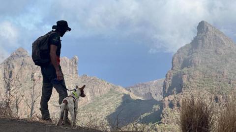 A volunteer rescuer with a dog peers into a ravine