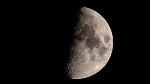 Alienation The moon fills this image against a black sky. Half of the satellite is in shadow, the other half is clearly visible with craters and dark spots